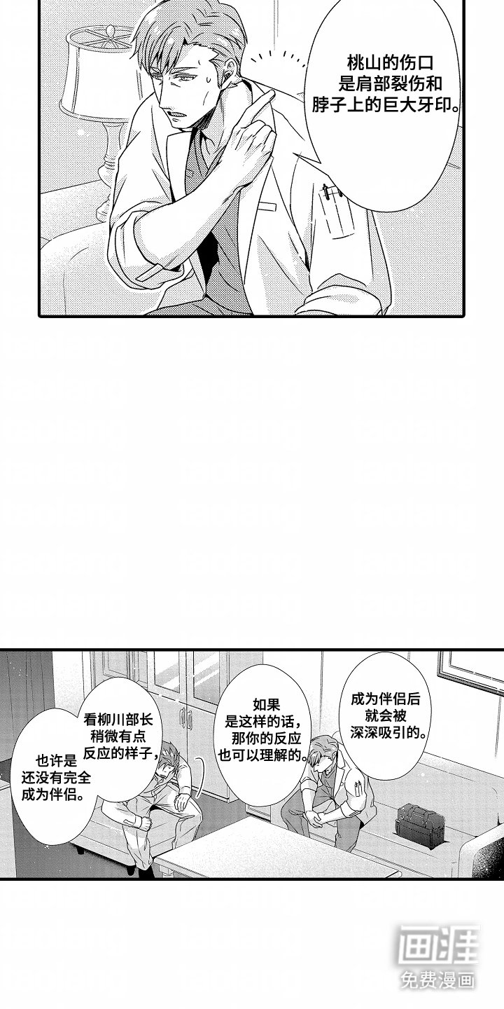 第11章：可能性
