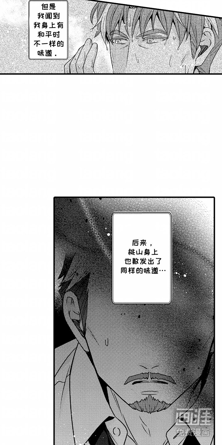 第11章：可能性