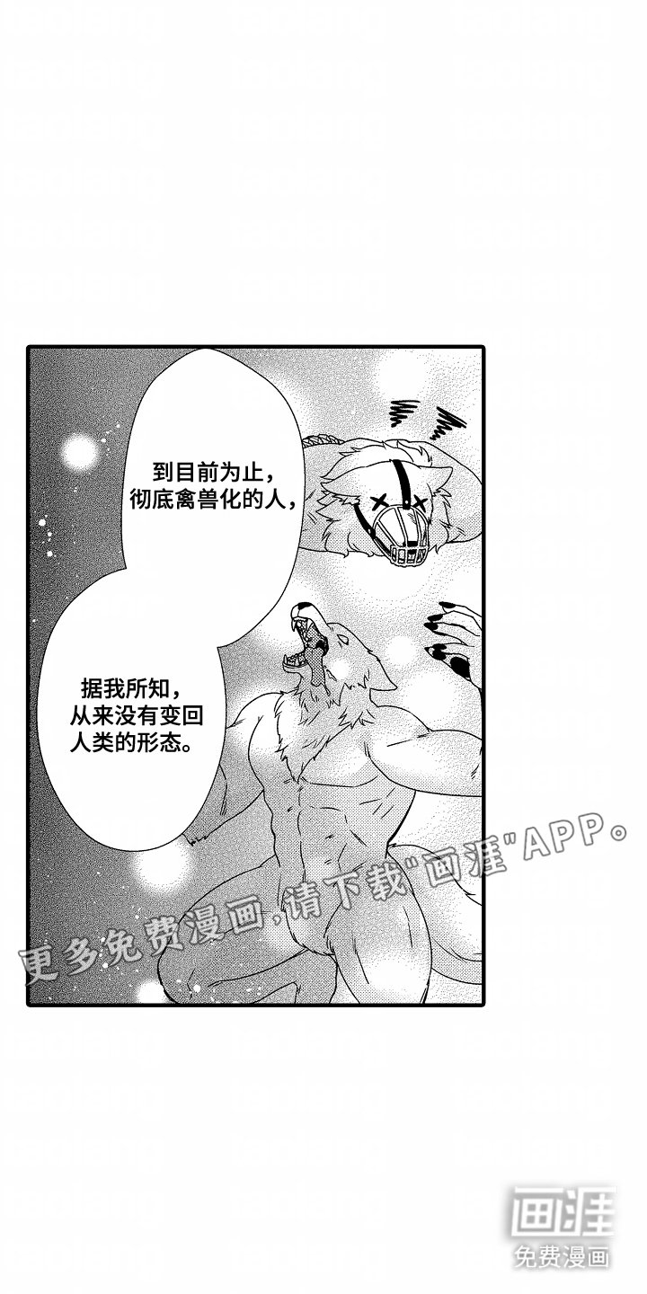 第12章：同样的错误
