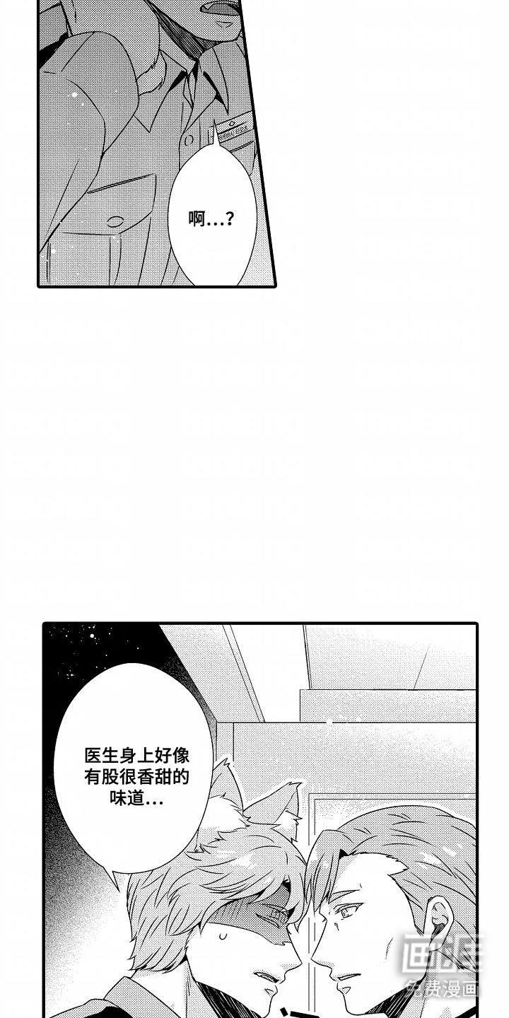 第4章：灵敏