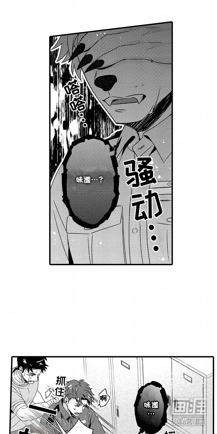 第6章：保证身体