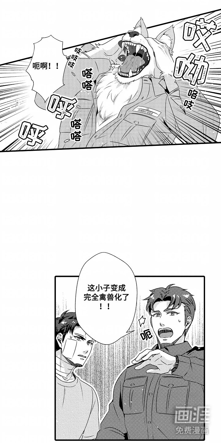 第6章：保证身体