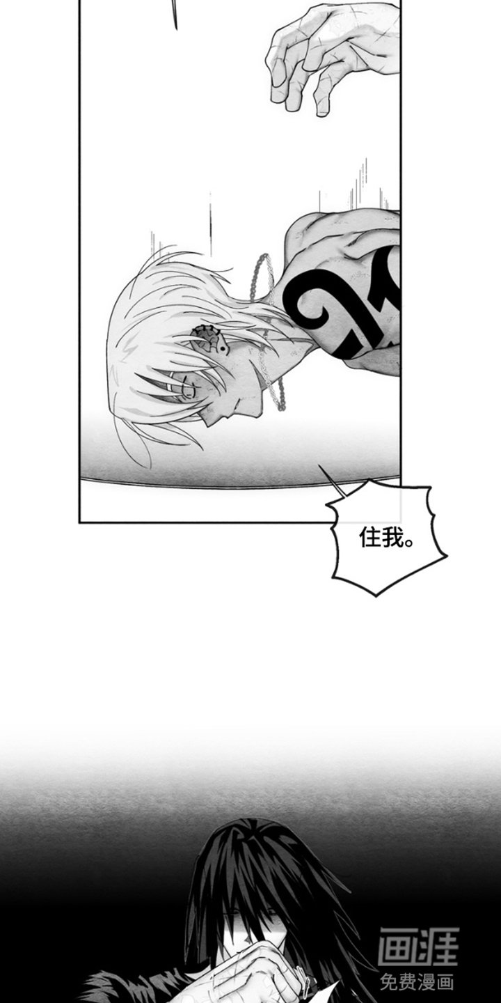 第3章：压制
