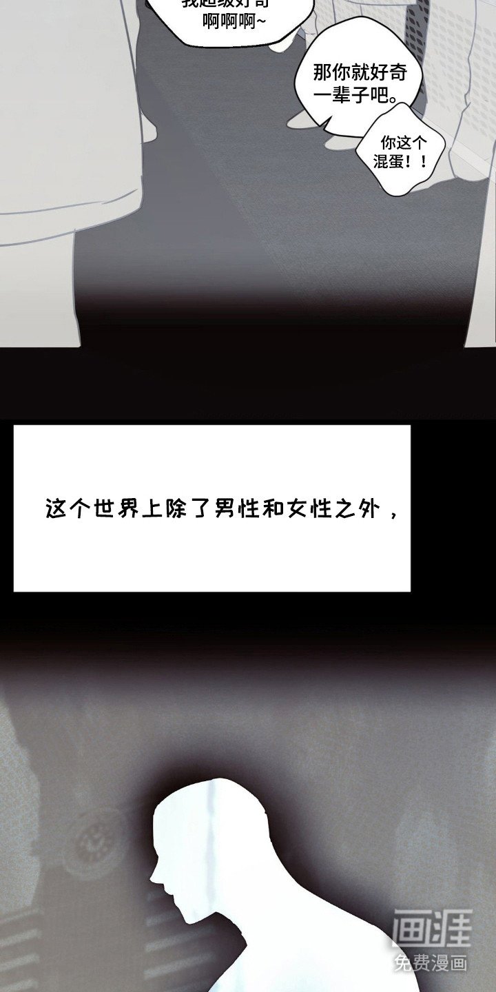 第1章：AO论坛