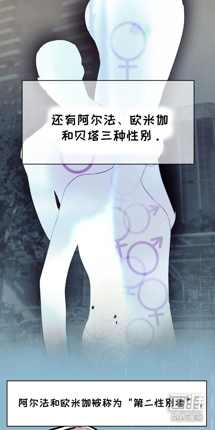 第1章：AO论坛