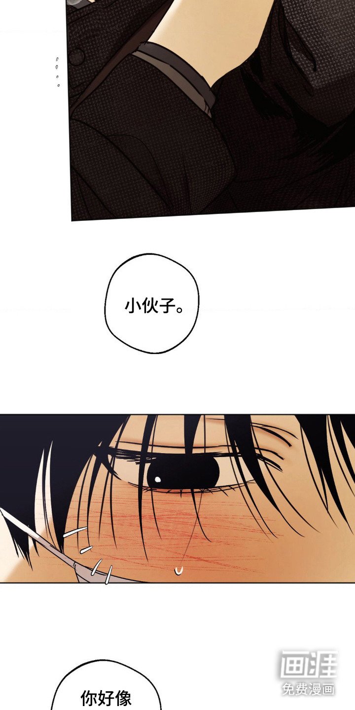第1章：AO论坛