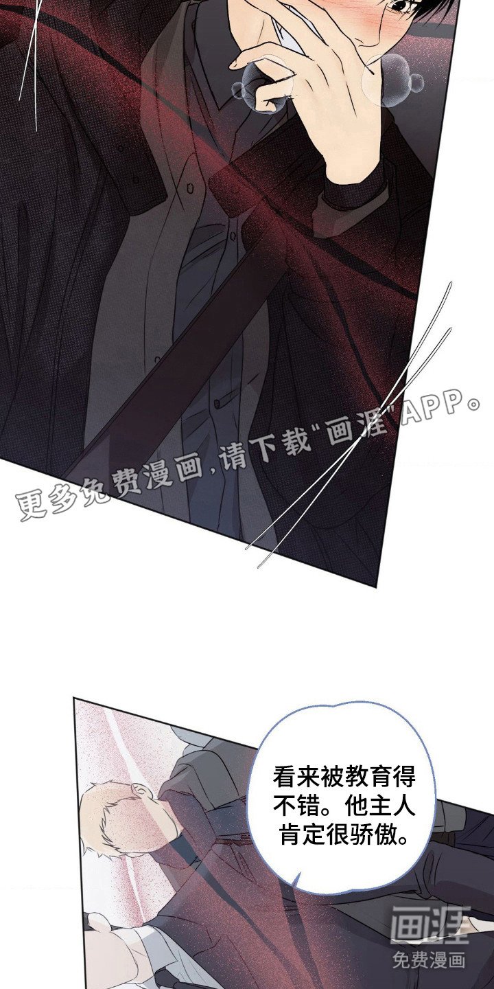 第3章：人群聚集