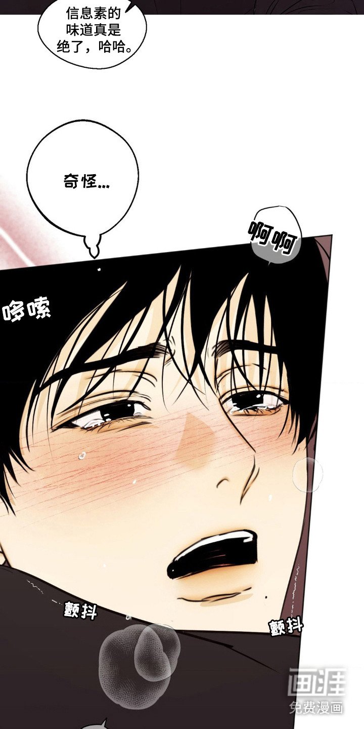 第4章：逐渐迷离