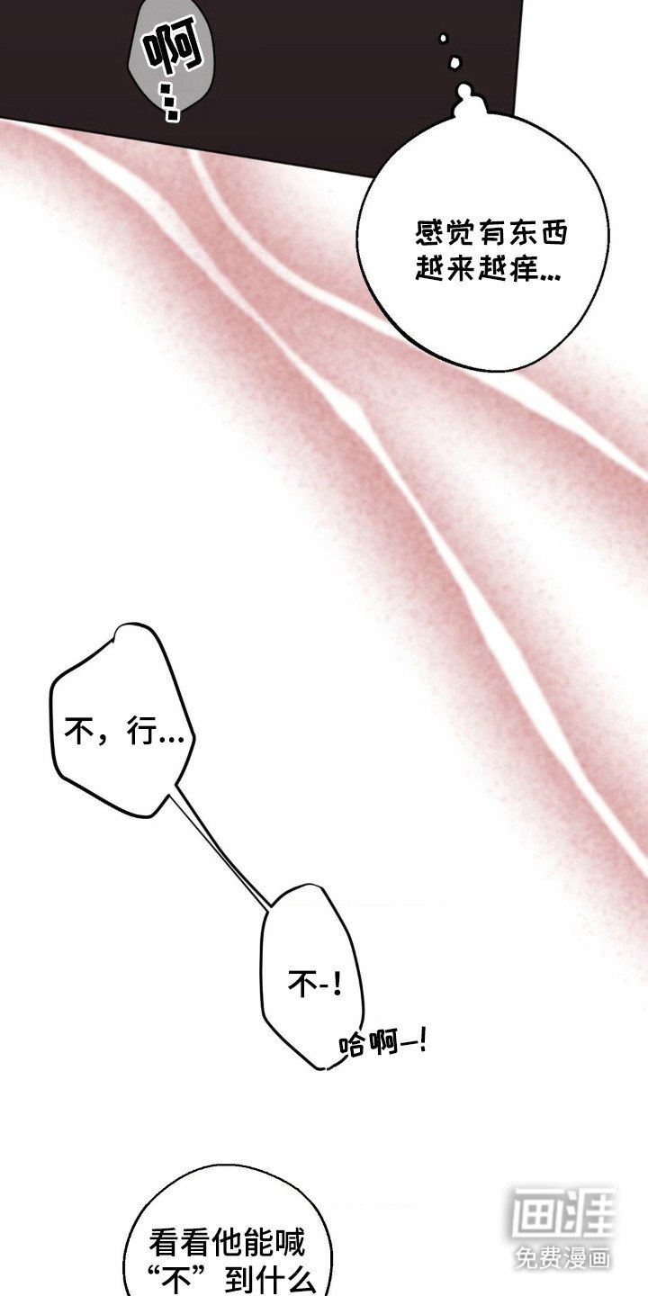 第4章：逐渐迷离