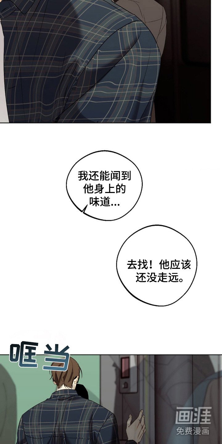 第6章：悄悄带走