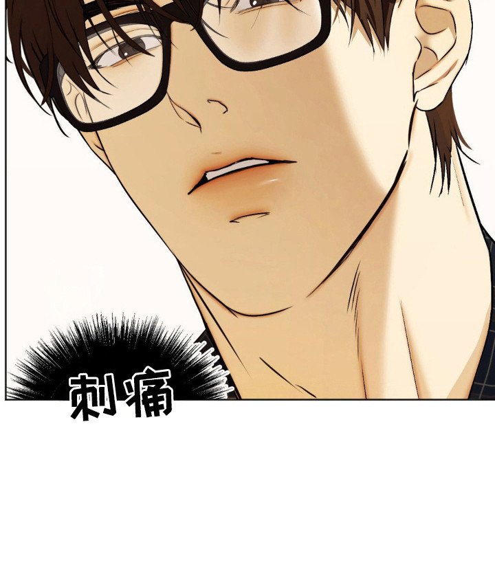 第6章：悄悄带走