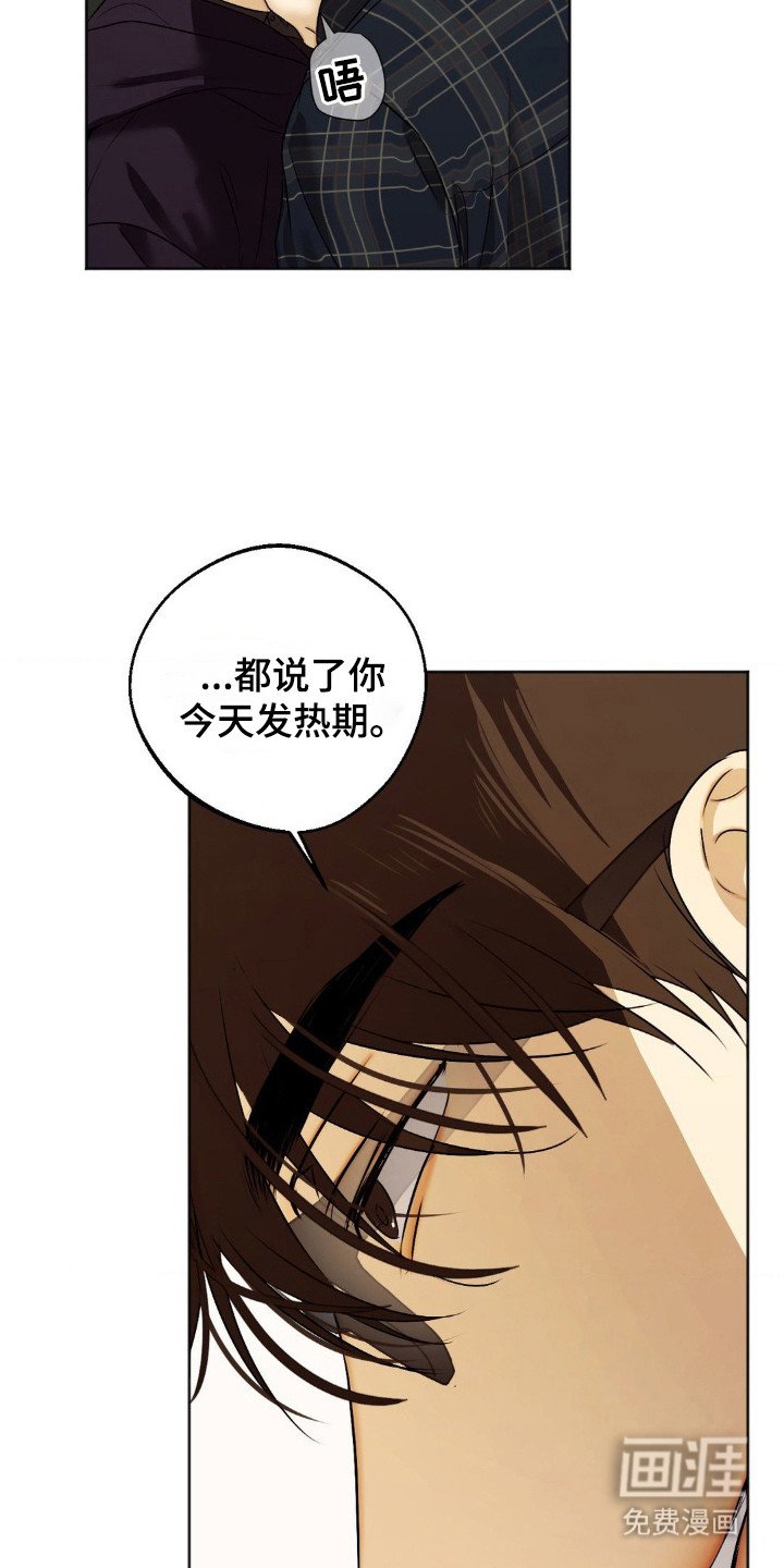 第7章：按规矩来