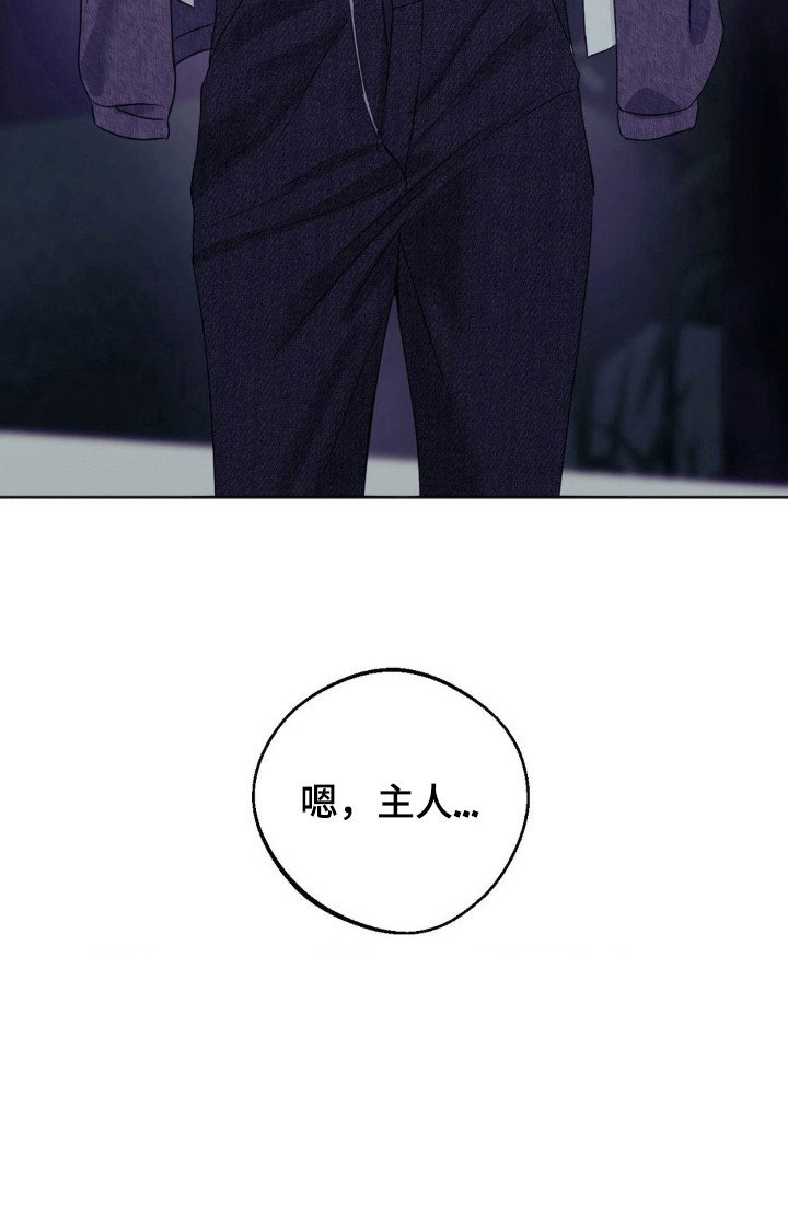 第8章：教育（完结）