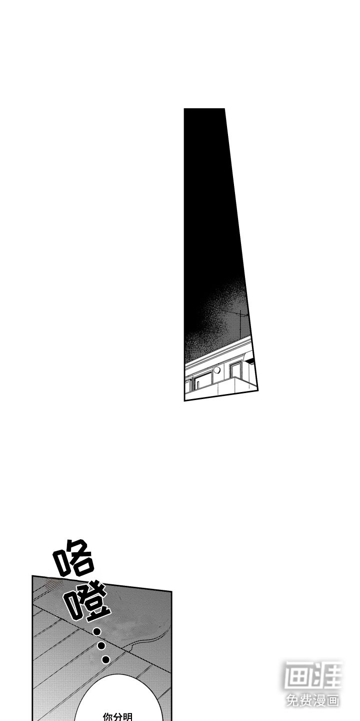 第17章：出乎意料