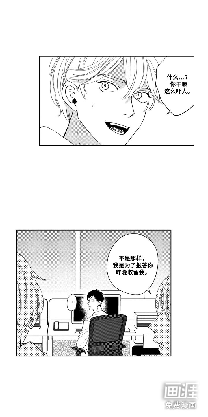 第19章：自己选择