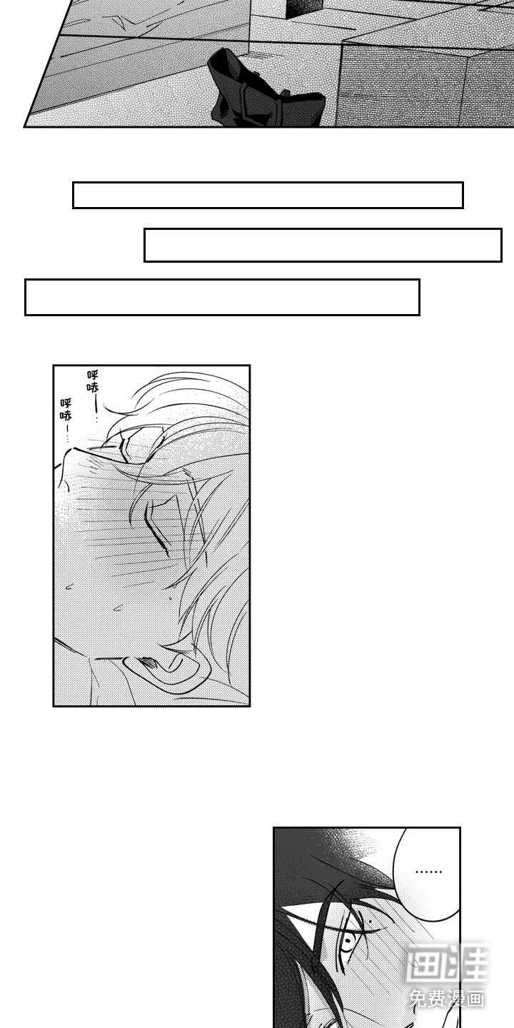 第21章：我的工作