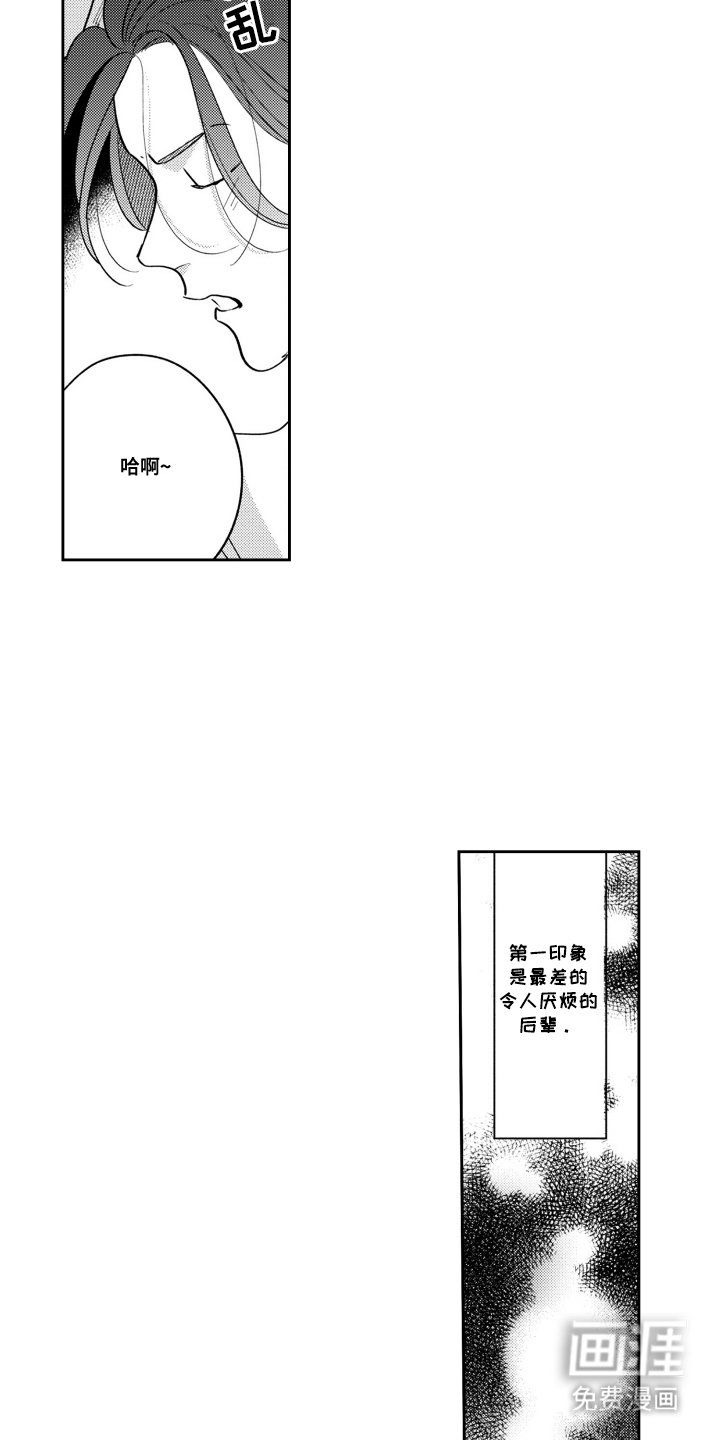 第6章：是认真的