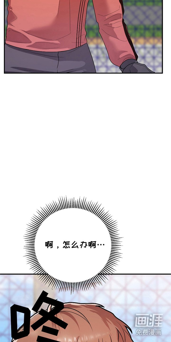 第5章：约定