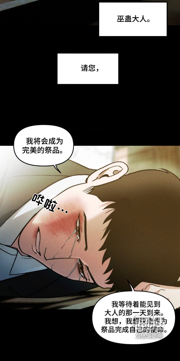 第17章：我的使命
