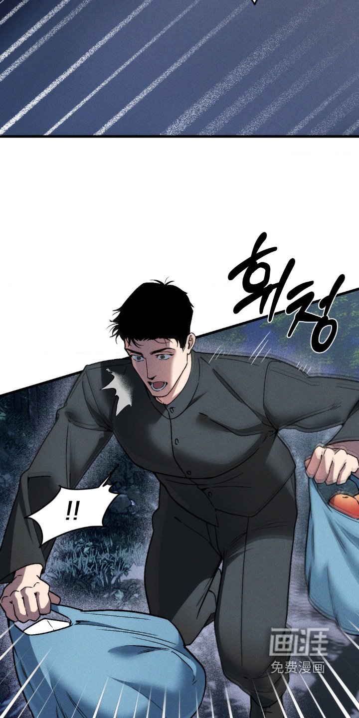 第29章：喜欢做饭