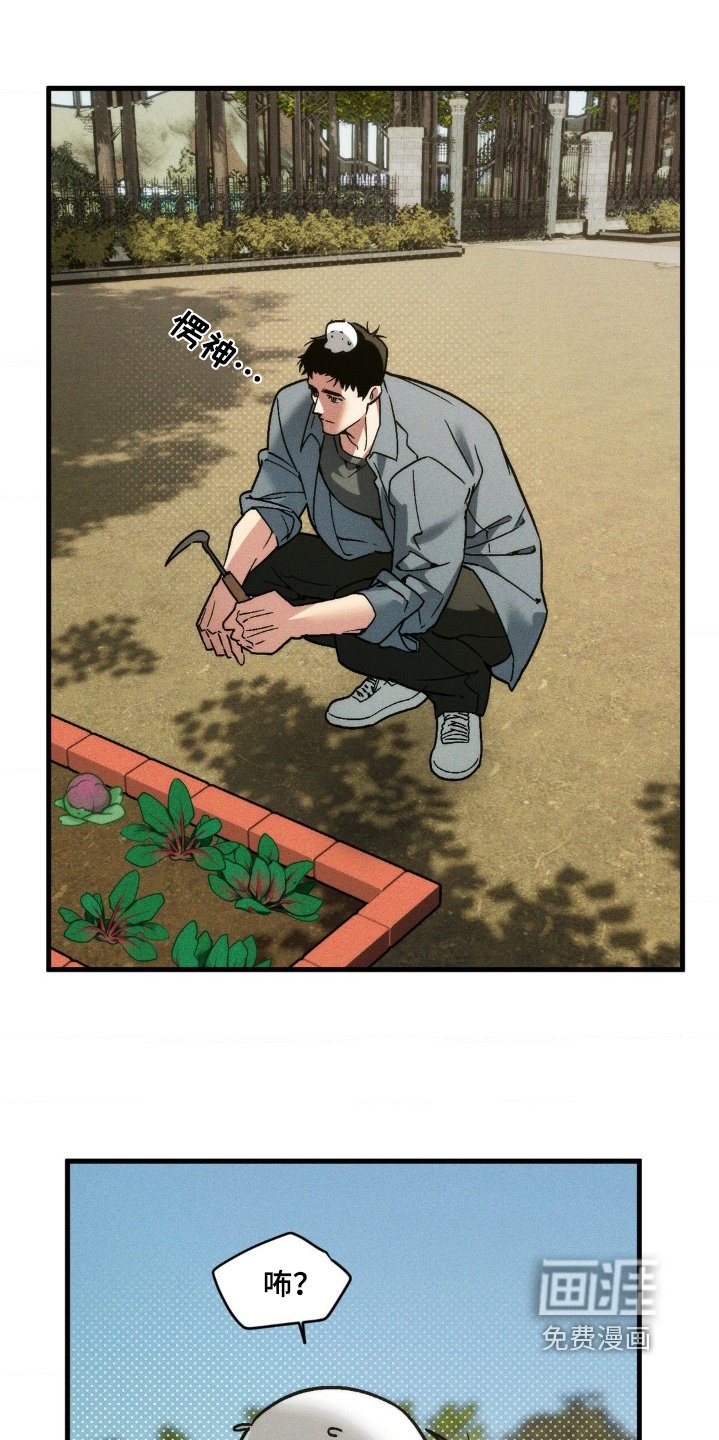 第37章：我做错了什么
