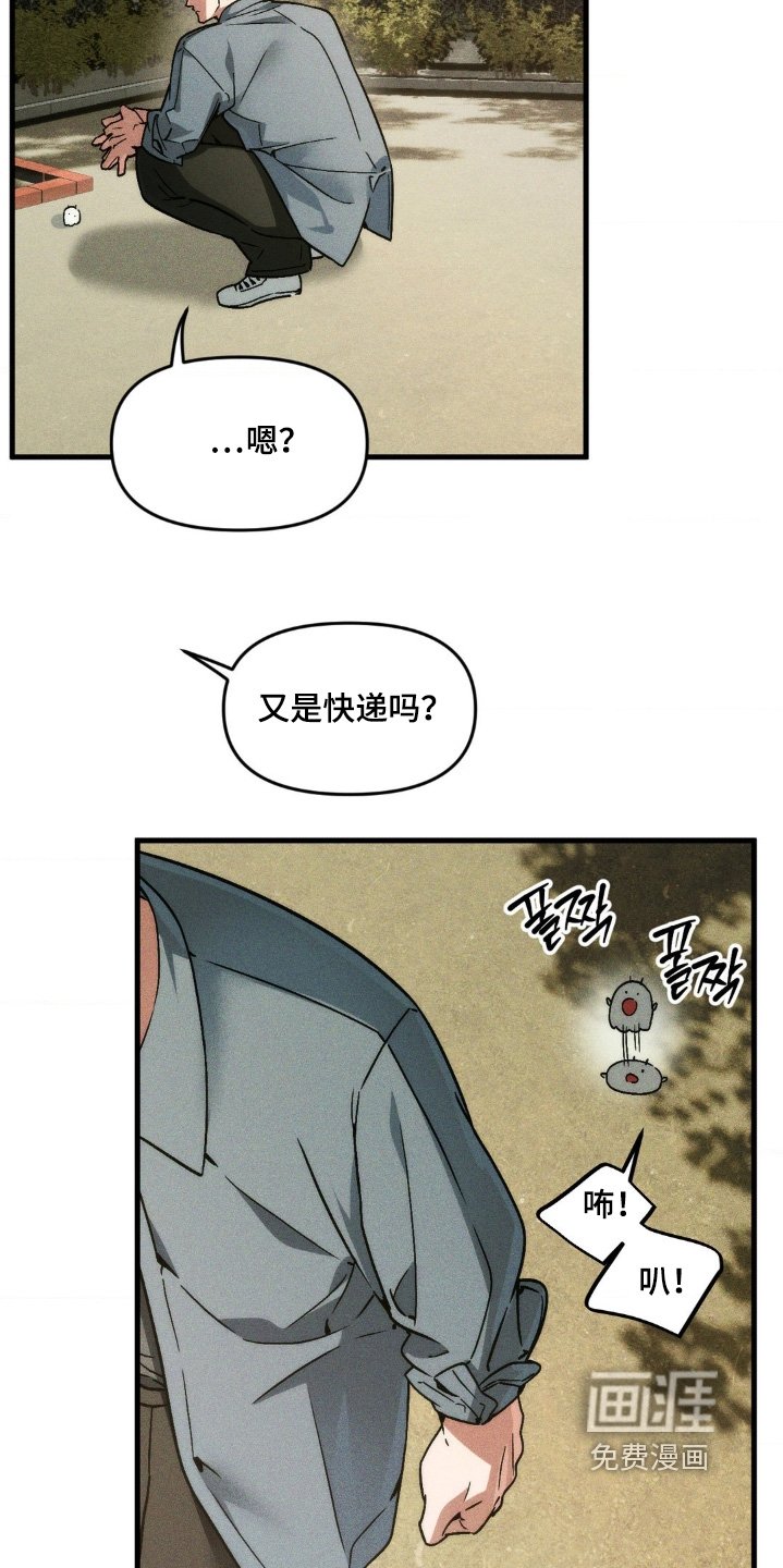 第37章：我做错了什么