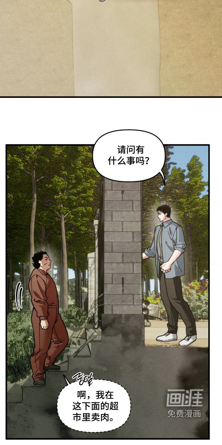 第37章：我做错了什么