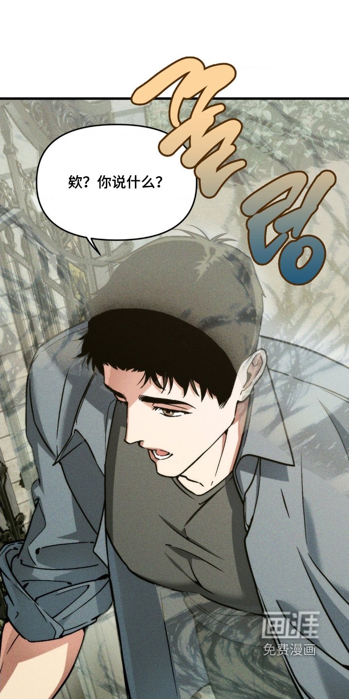 第37章：我做错了什么