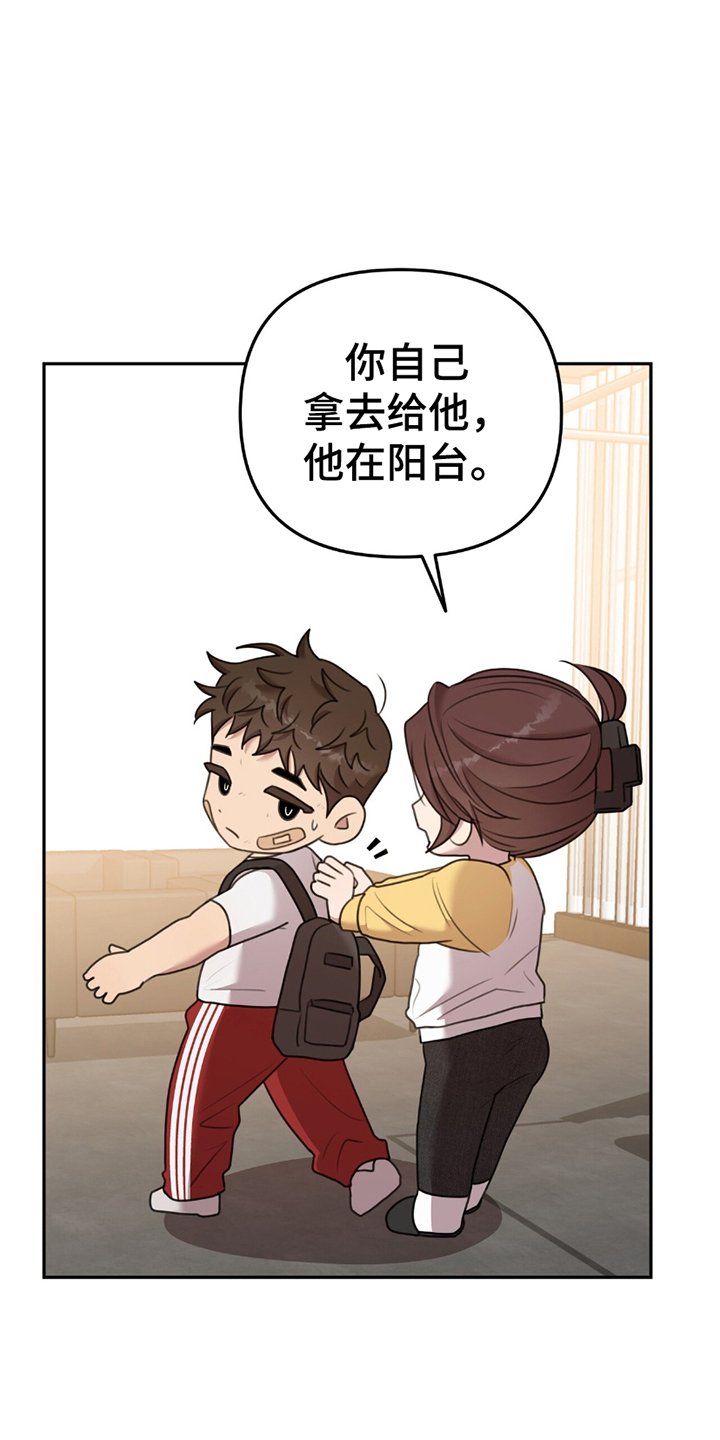 第17章：歉意