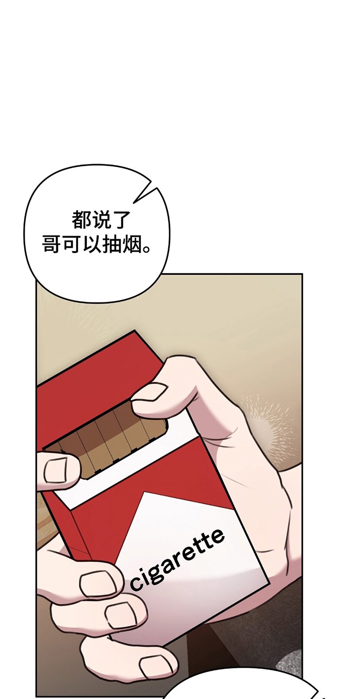 第19章：点火