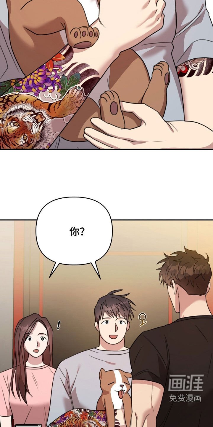 第43章：感情