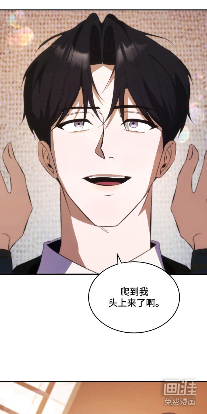 第17章： 心情很好