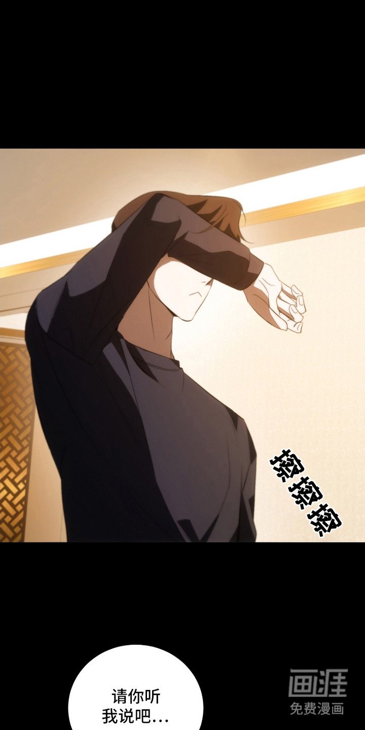 第23章：解释