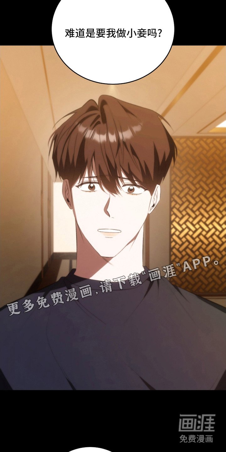 第23章：解释