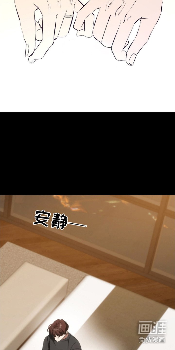 第23章：解释