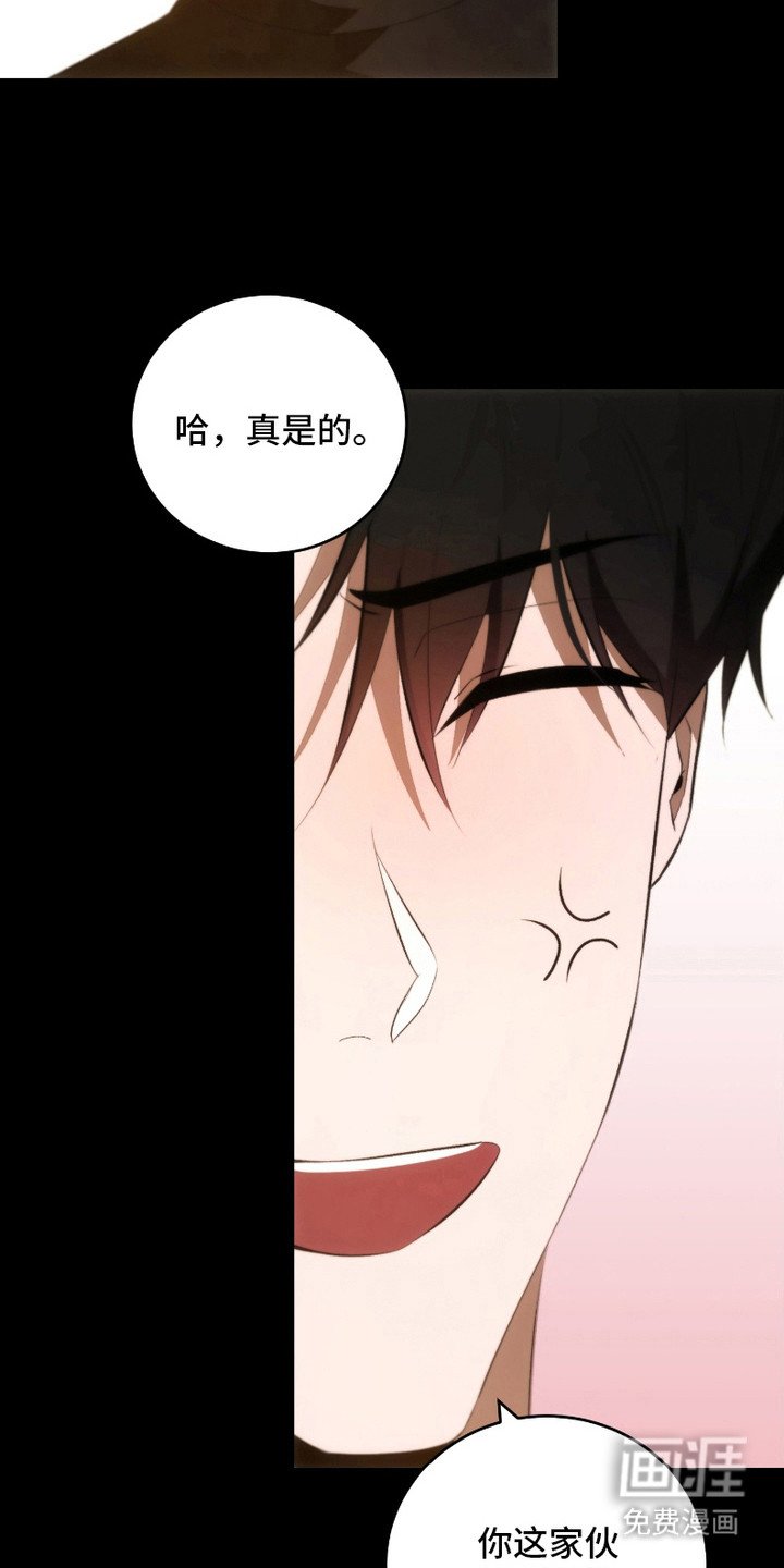 第26章：复杂情绪