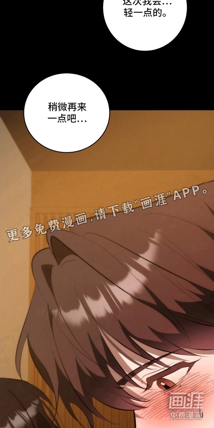第26章：复杂情绪