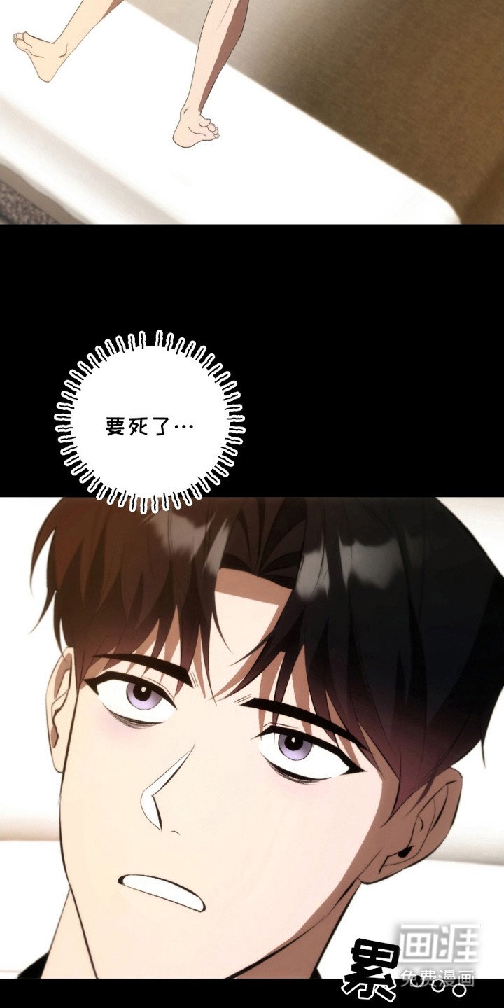 第27章：注定的缘分（完结）