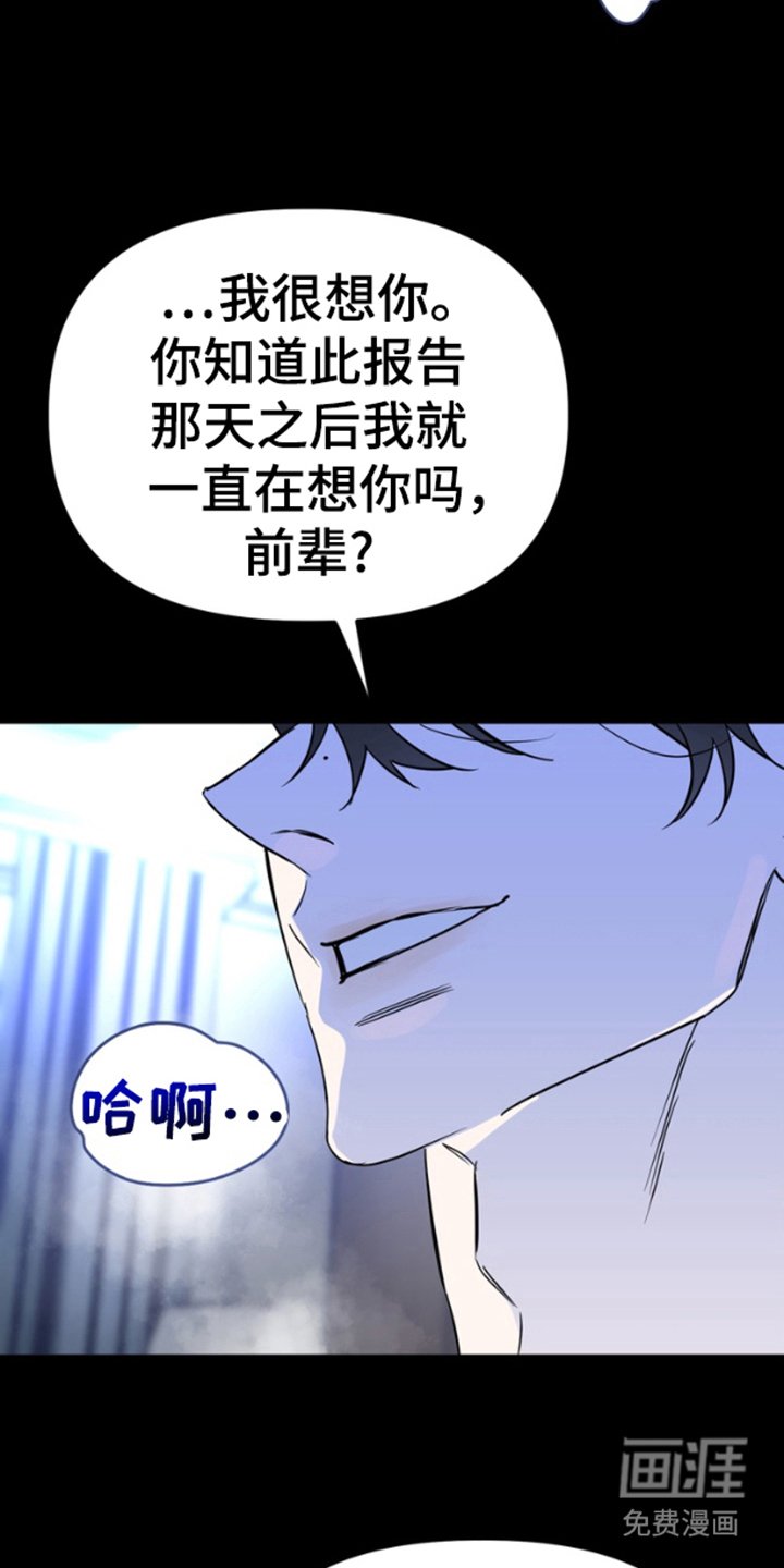 第5章：留下回忆（完结）