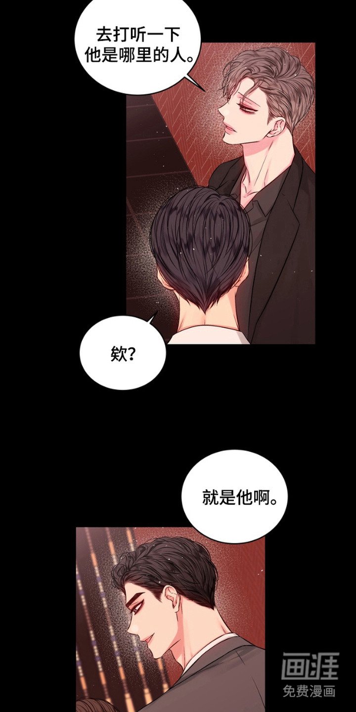 第11章：禽兽一样