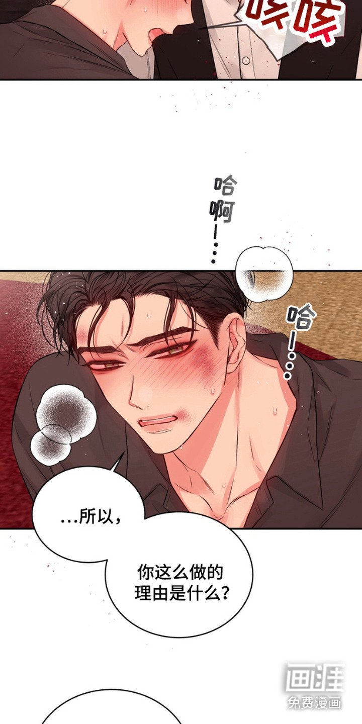 第11章：禽兽一样
