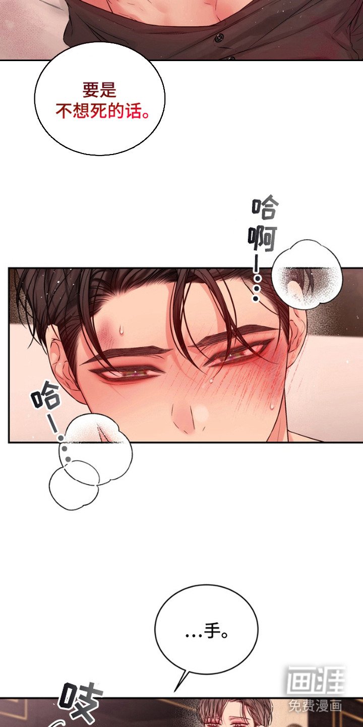 第12章：般配（完结）