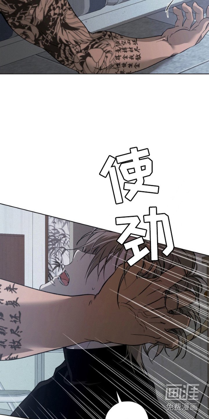 第1章：补偿