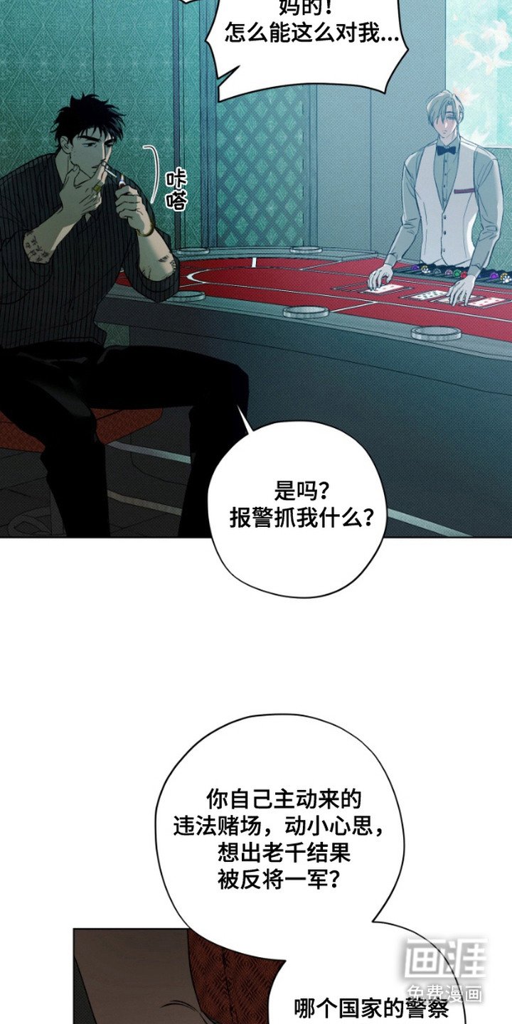 第11章：狼狈为奸