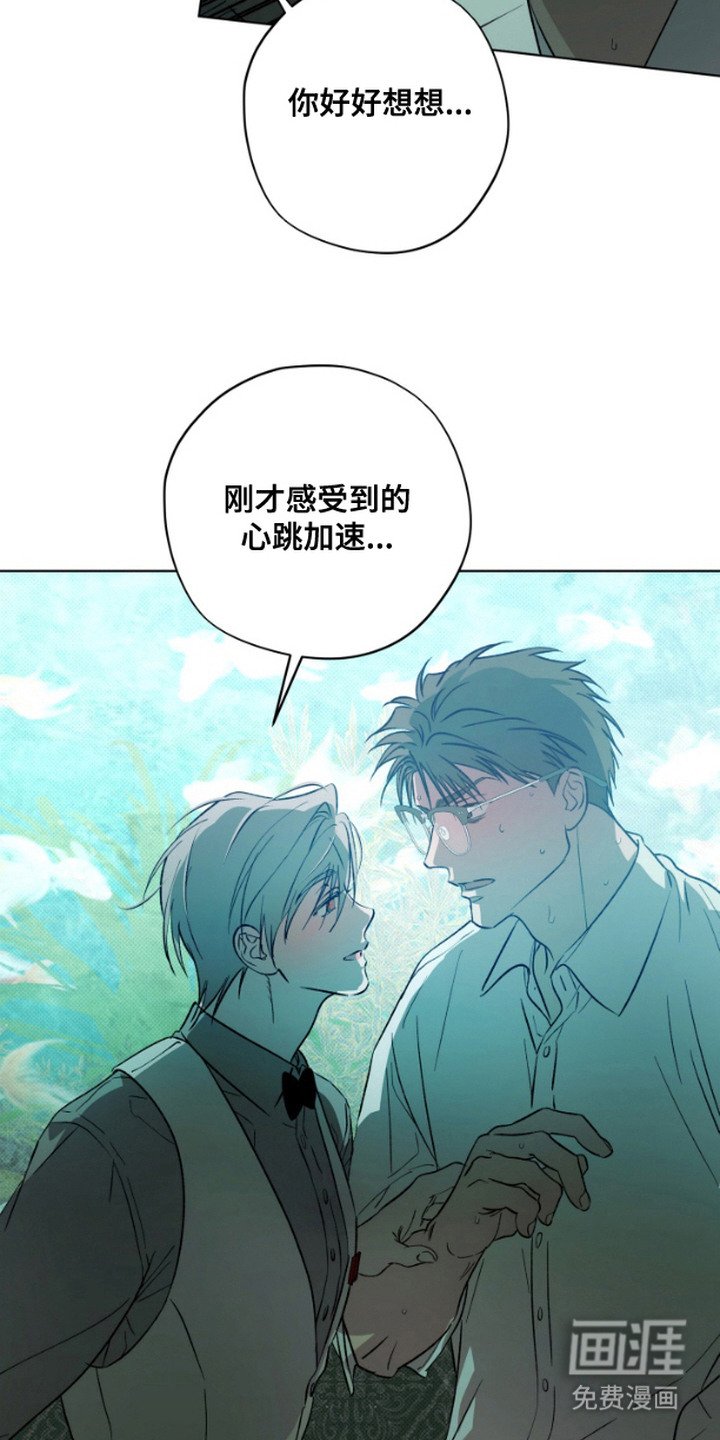 第11章：狼狈为奸