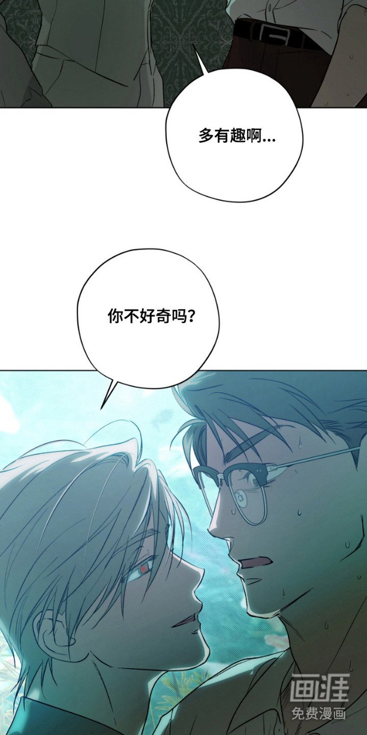 第11章：狼狈为奸