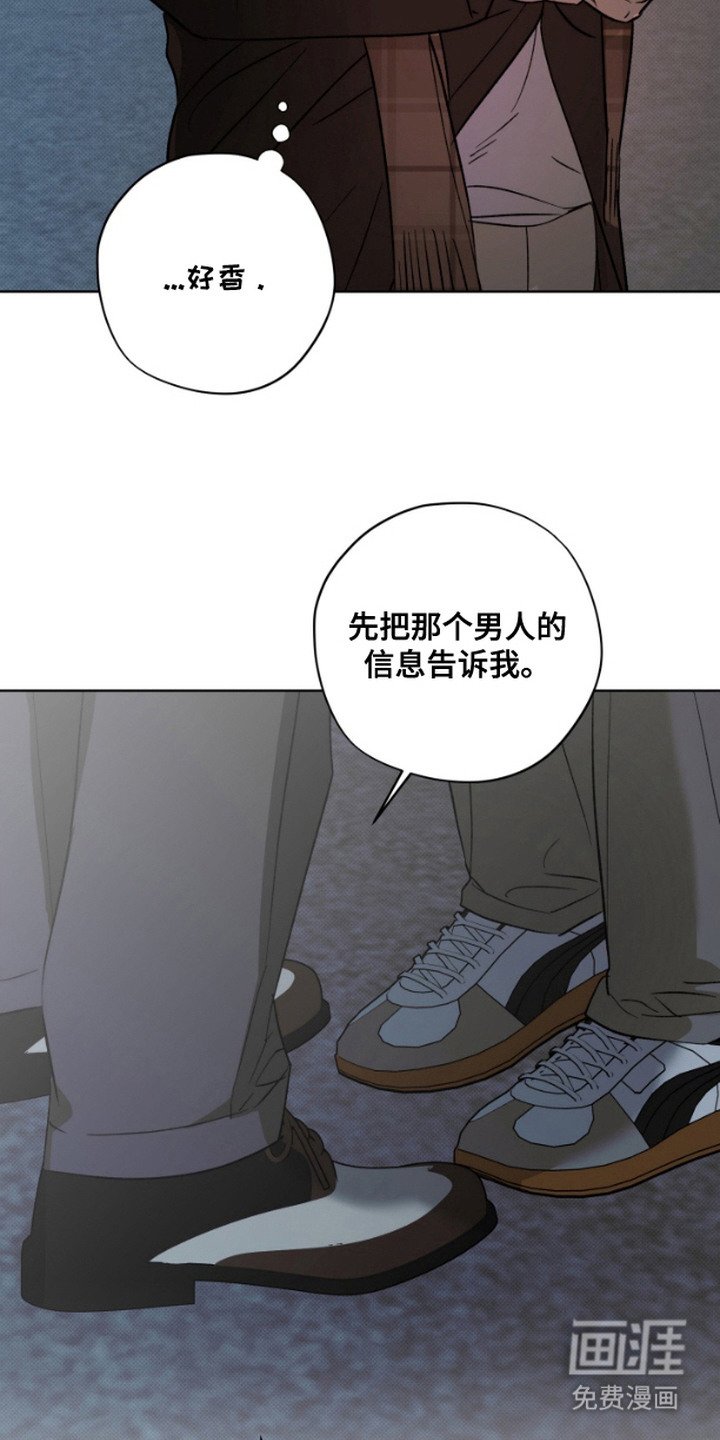 第5章：计划