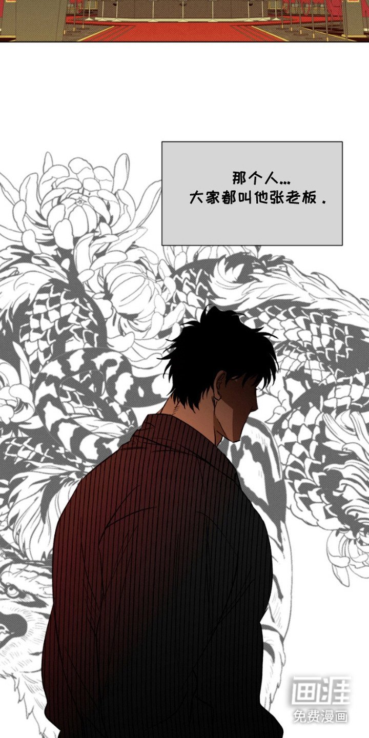 第5章：计划