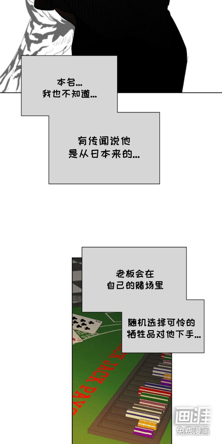 第5章：计划