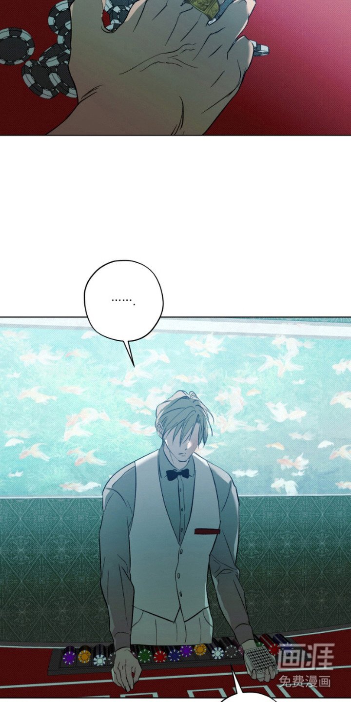 第9章：发牌